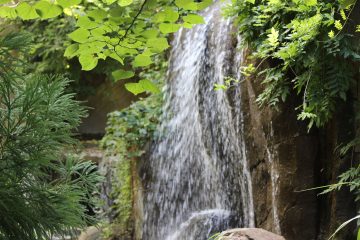 Lori's Pictures 099.JPG