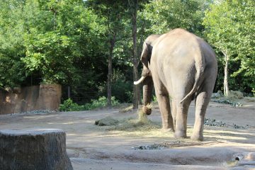 Lori's Pictures 102.JPG