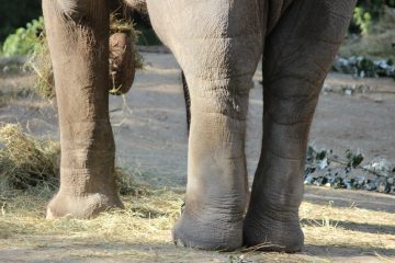 Lori's Pictures 104.JPG