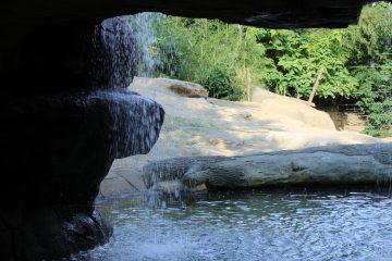 Lori's Pictures 109.JPG