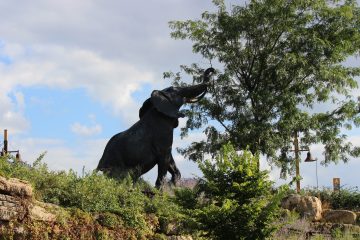 Lori's Pictures 114.JPG