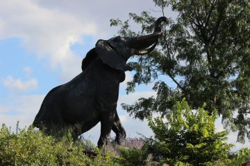 Lori's Pictures 115.JPG