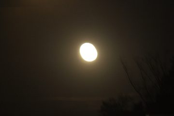 Lori's Pictures 118.JPG