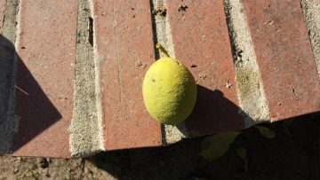 phone_pictures 105.jpg