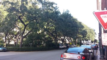 Phone_20150913 053.jpg