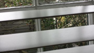 Phone_20150913 125.jpg