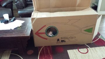 Phone_20150913 153.jpg