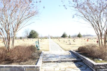 Lori's Pictures 172.JPG