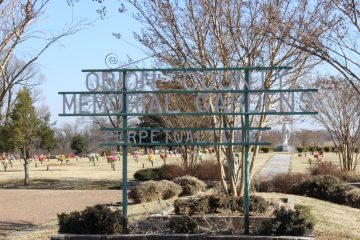 Lori's Pictures 174.JPG