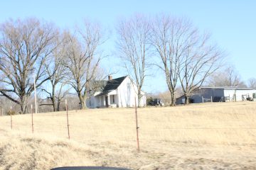 Lori's Pictures 177.JPG