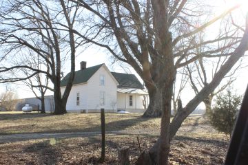 Lori's Pictures 182.JPG