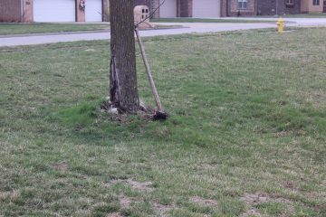 Lori's Pictures 188.JPG