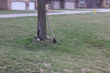 Lori's Pictures 189.JPG