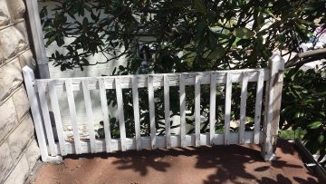 Phone_20150913 243.jpg