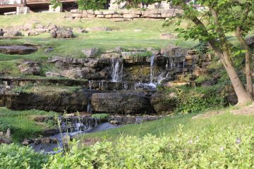 Lori's Pictures 231.JPG