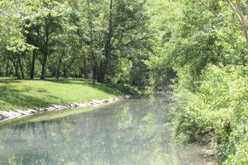 Lori's Pictures 260.JPG