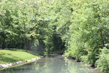 Lori's Pictures 261.JPG