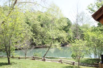 Lori's Pictures 270.JPG