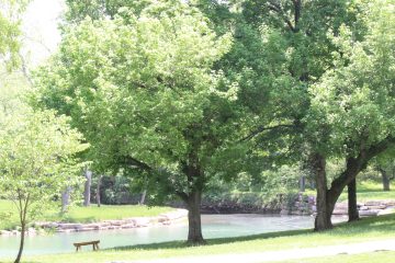 Lori's Pictures 276.JPG