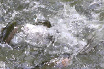 Lori's Pictures 281.JPG