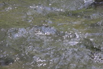 Lori's Pictures 283.JPG