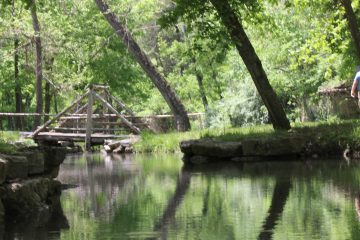 Lori's Pictures 289.JPG