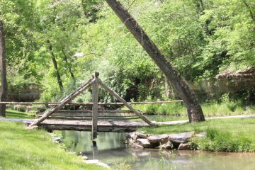 Lori's Pictures 290.JPG