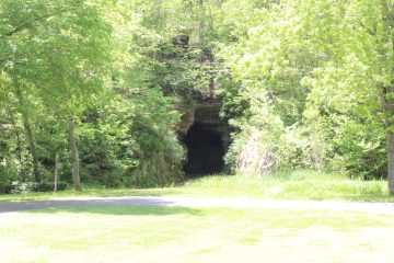 Lori's Pictures 294.JPG