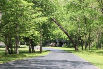 Lori's Pictures 316.JPG