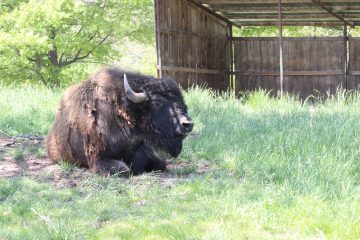 Lori's Pictures 343.JPG