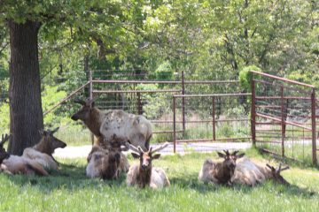 Lori's Pictures 344.JPG