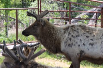 Lori's Pictures 346.JPG