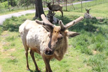 Lori's Pictures 351.JPG