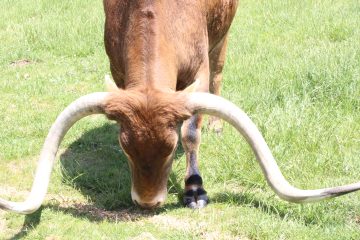 Lori's Pictures 358.JPG