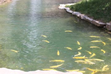 Lori's Pictures 366.JPG