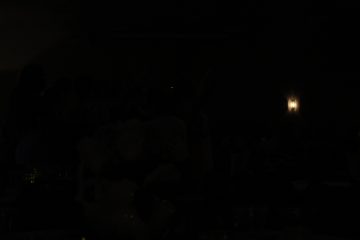 Lori's Pictures 571.JPG