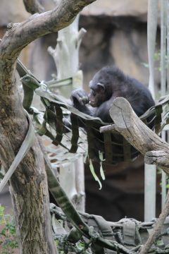 Lori's Pictures 072.JPG