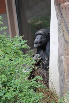 Lori's Pictures 073.JPG