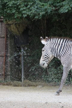 Lori's Pictures 077.JPG