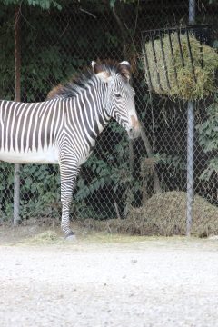 Lori's Pictures 078.JPG