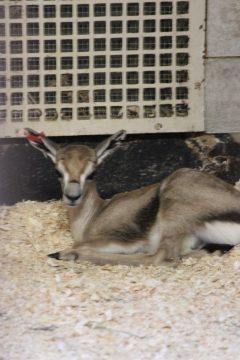 Lori's Pictures 084.JPG