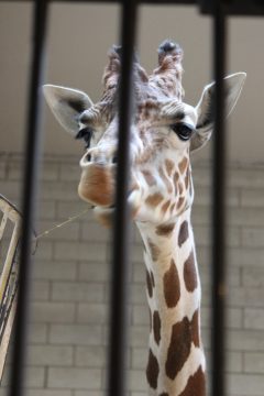 Lori's Pictures 086.JPG