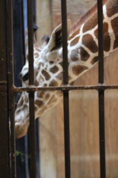 Lori's Pictures 088.JPG