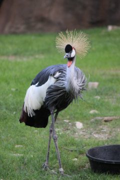 Lori's Pictures 094.JPG