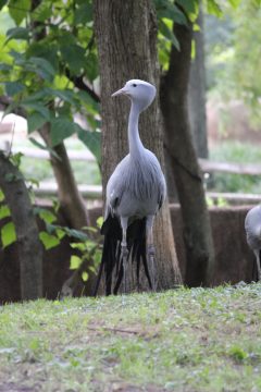 Lori's Pictures 095.JPG