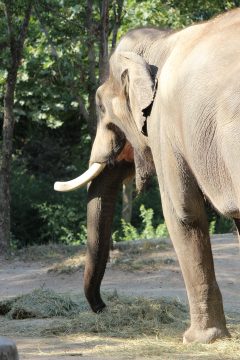 Lori's Pictures 103.JPG