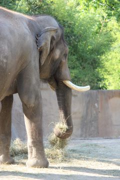 Lori's Pictures 106.JPG