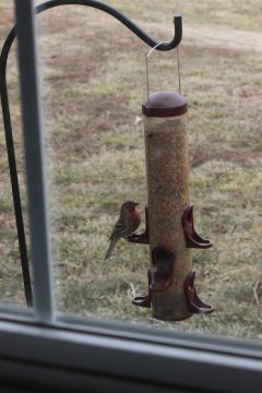 Lori's Pictures 122.JPG