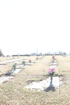 Lori's Pictures 171.JPG