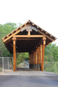 Lori's Pictures 245.JPG